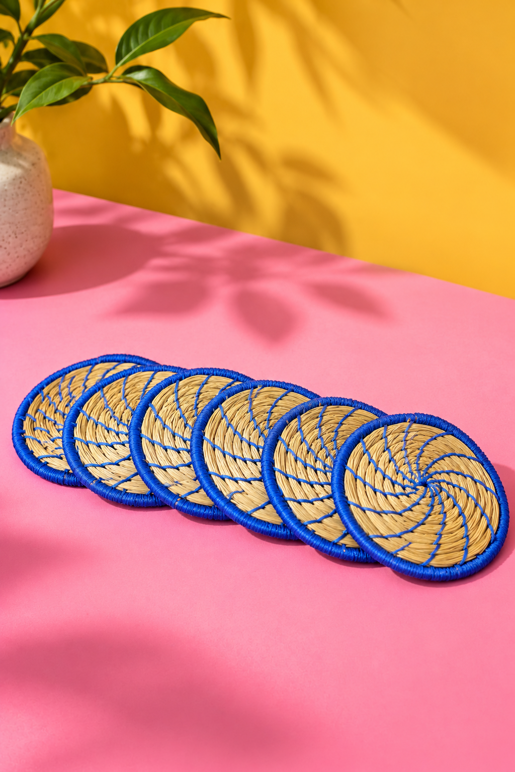The Suryā Coasters